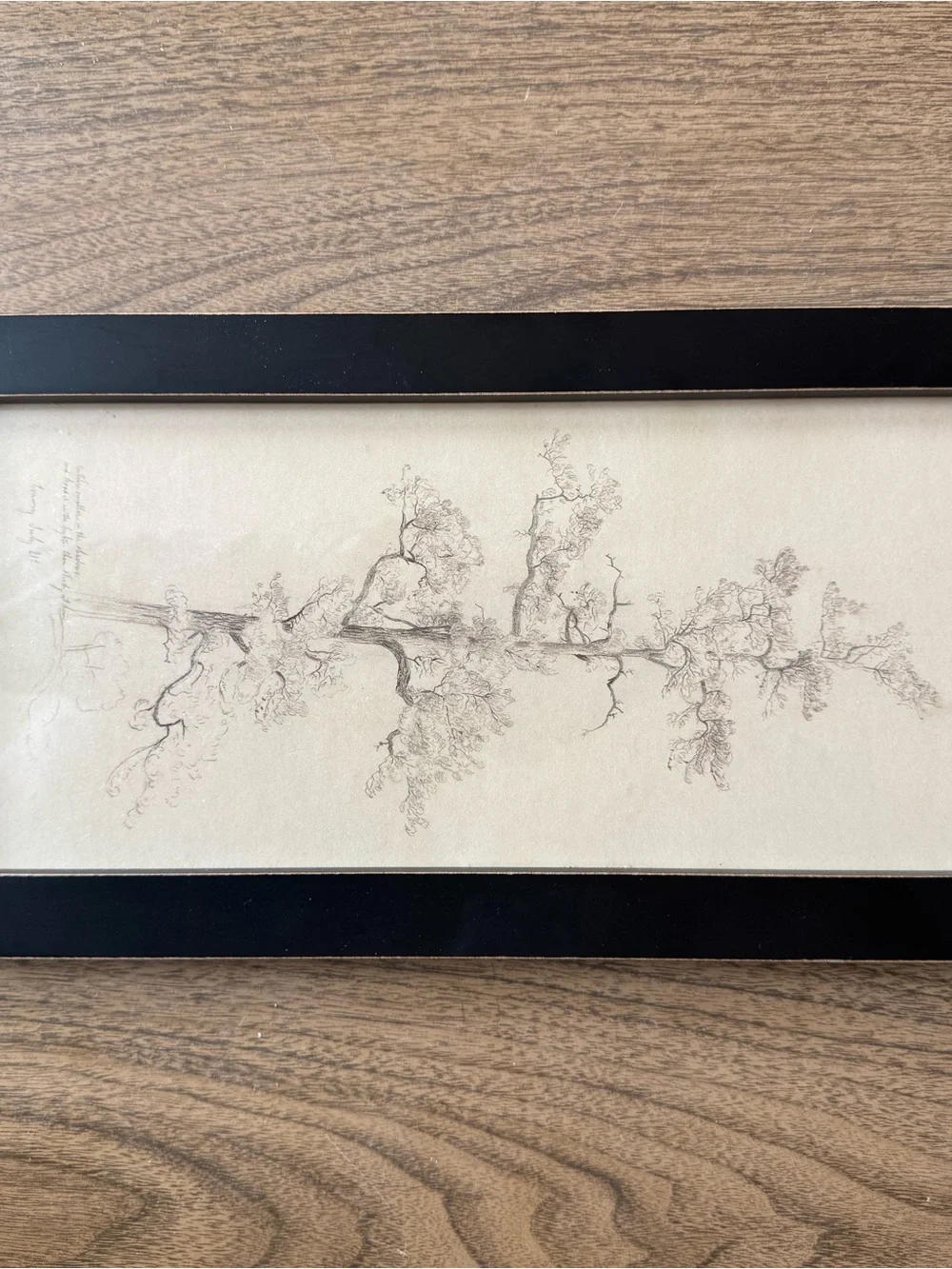 Hearth & Hand by Magnolia Black Framed Tree Sketch Wall Art